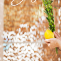 sukkot_story_01